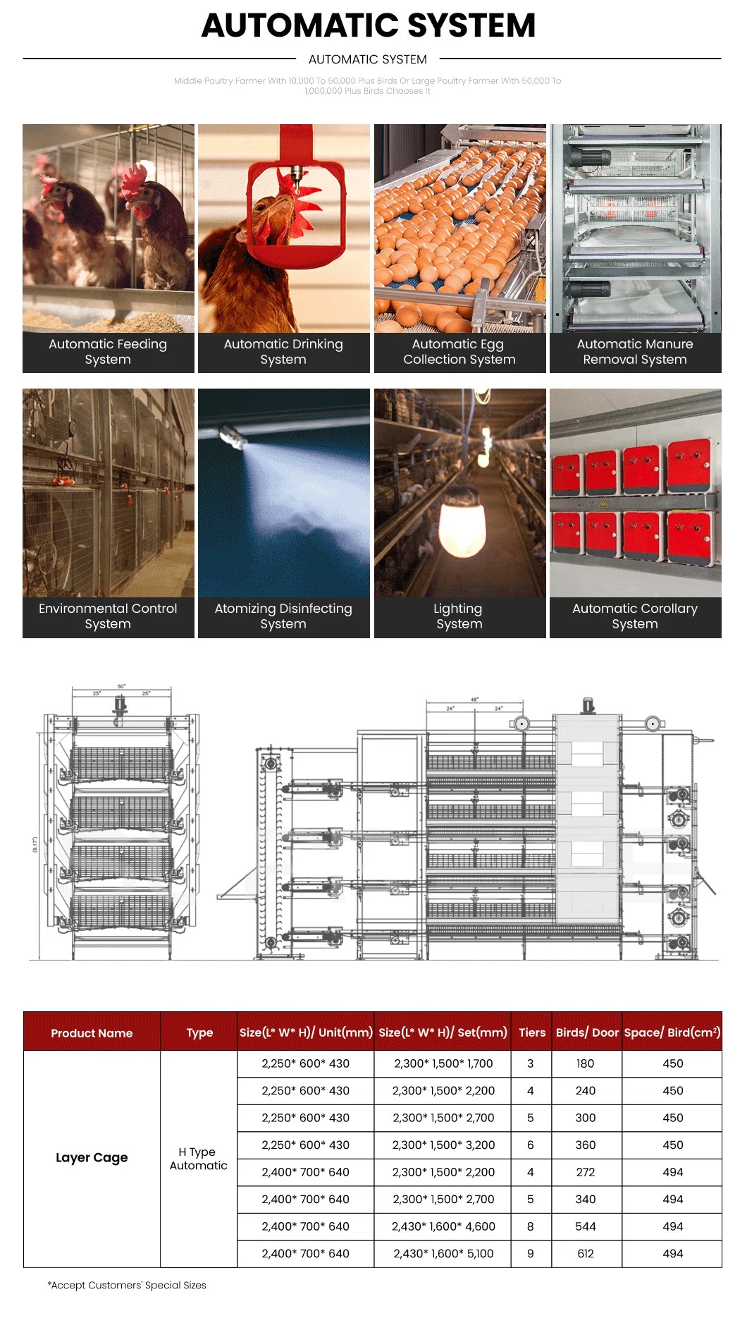 Bestchickencage H Type Breeder Cage Layer Cage China Chicken Grower Layer Cage Factory OEM Custom ISO Soncap Certificates Poultry Broiler Chicken Layer Cages