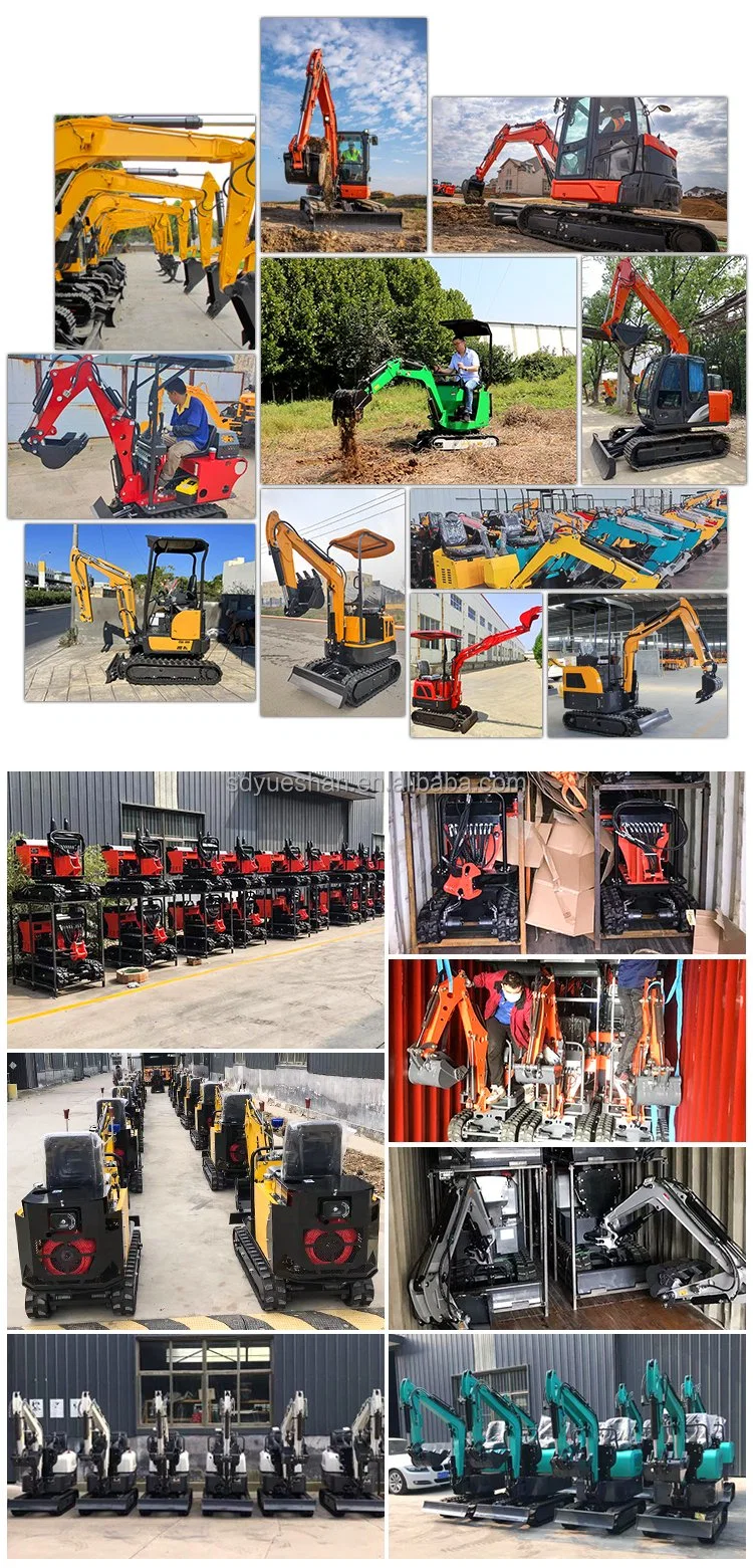 EPA Euro 5 Track Hoe Excavator Micro Excavator Mini Digger Mini Excavator for Sale