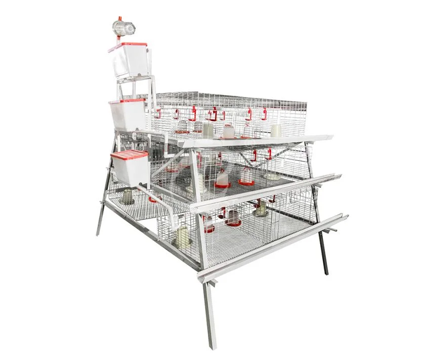 Bestchickencage China DIY Portable Chicken Coop Suppliers a Frame Automatic Broiler Cages High-Quality Excellent Column Performance Chicken Grower Cage