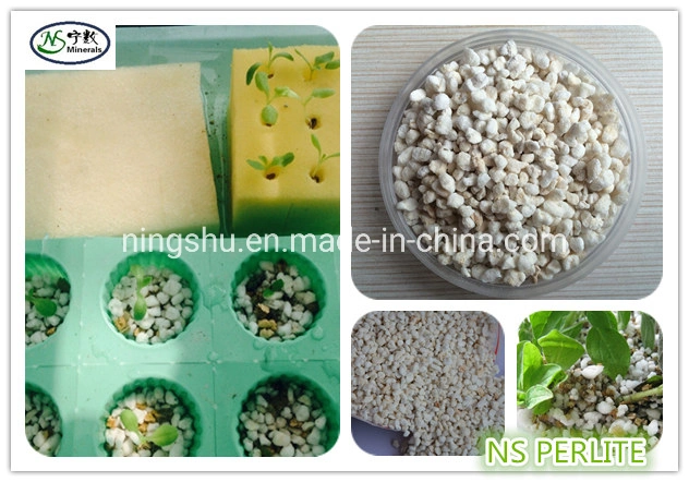 Horticultural Perlite for Commercial Growers, Landscapers, and Home Gardeners