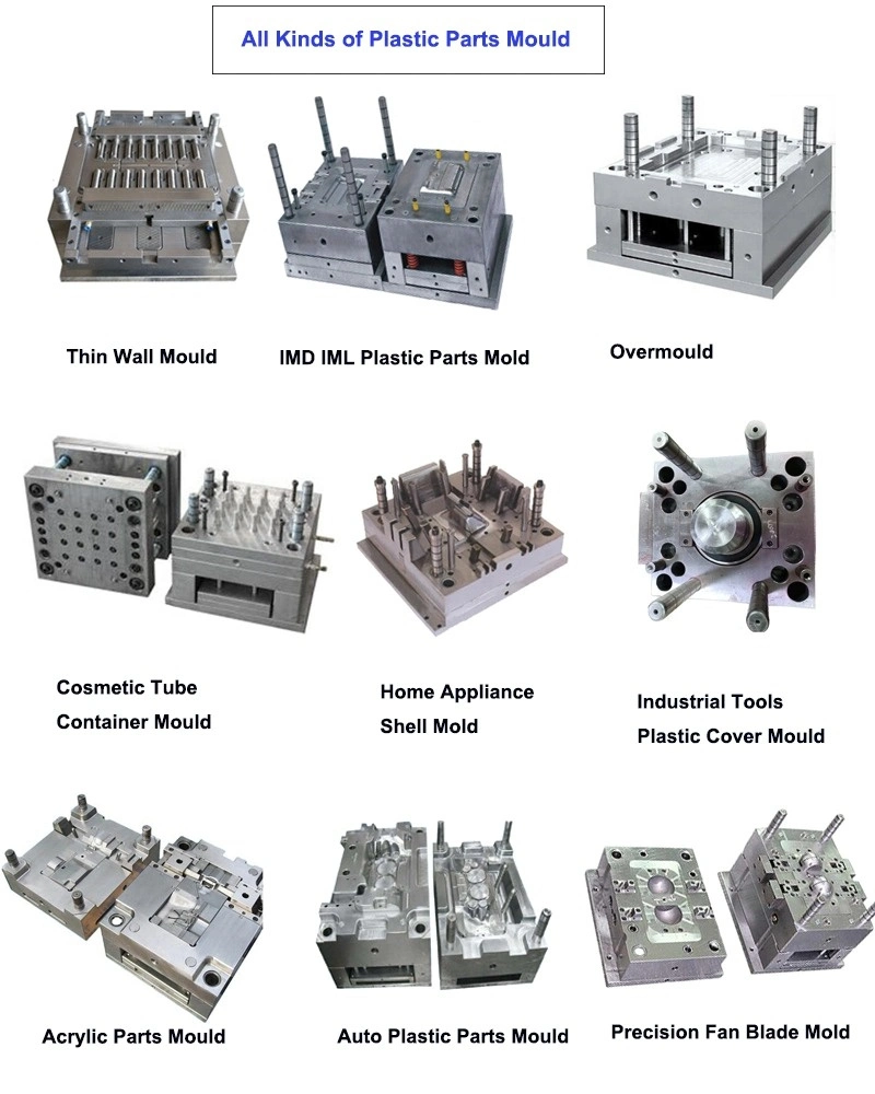 Mold Design Customized Plastic Injection Mould Factory/Supplier/Manufacturer/OEM/Plastic Fan Blade