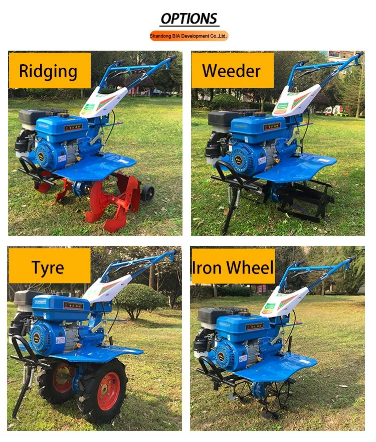 173f Diesel Engine Power Weeder Grass Cutter with Blade and Tiller Blade