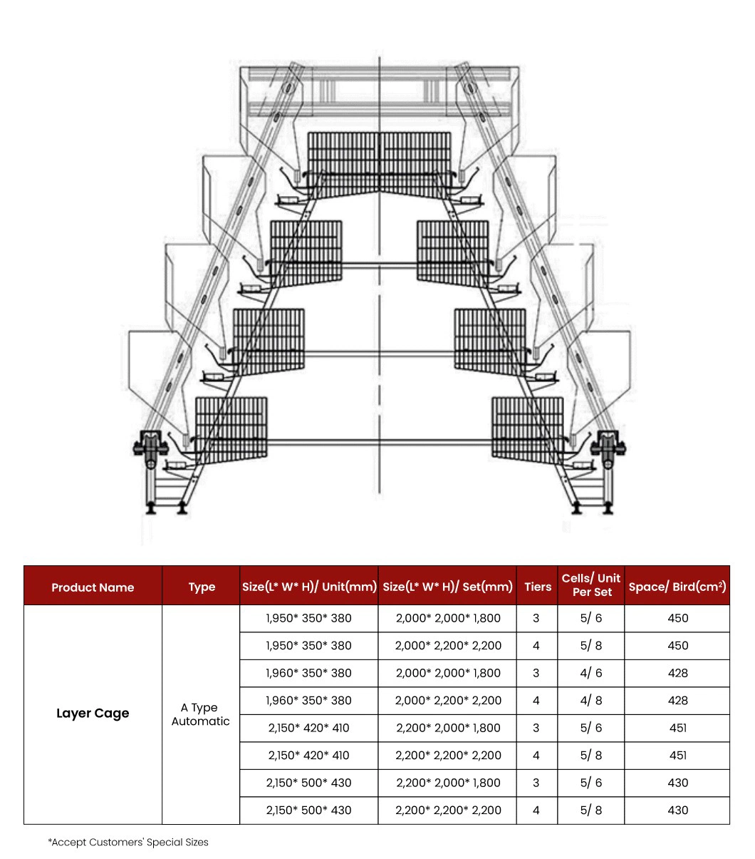 Bestchickencage a Type Layer Cage China Chicken Grower Layer Cage Factory OEM Custom Easily Clean Wooden Poultry Layer Cage Configuration Chicken Coop Wire