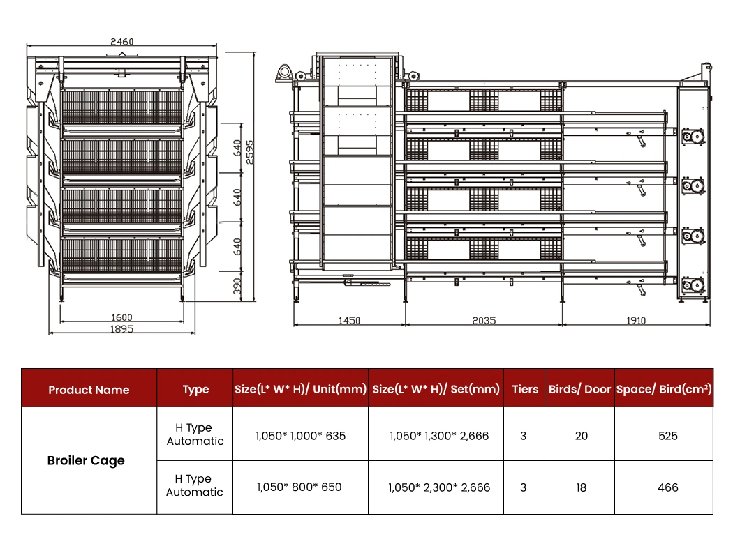 Bestchickencage China Chicken Coop Cage Manufacturer H Frame Automatic Boriler Cages High-Quality Reliable Technical Design Chicken Grower Cage