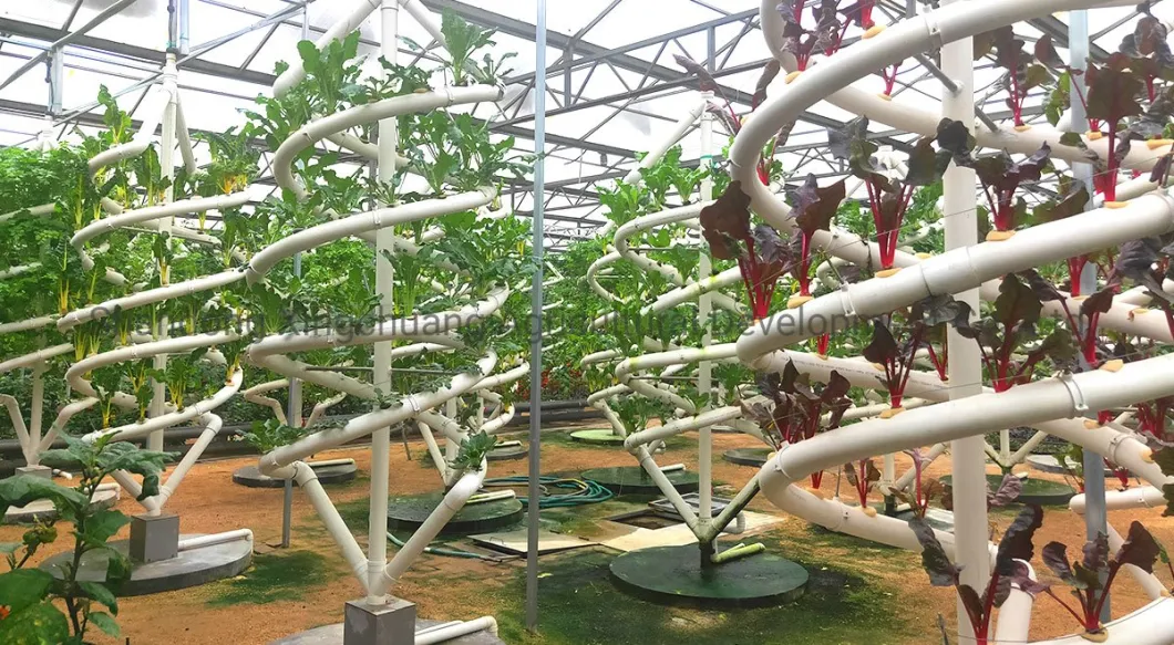 China Supplier Indoor Plant Grower Machine Hydroponics System with Pipe/Pump Intelligent LED