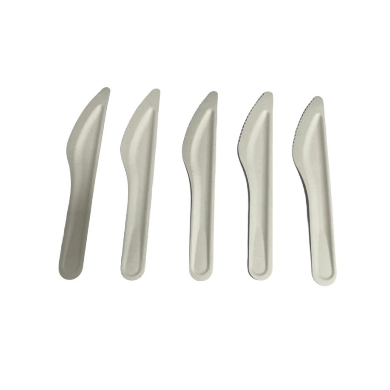 China Factory Wholesale Disposable Biodegradable Spoon Fork Knife