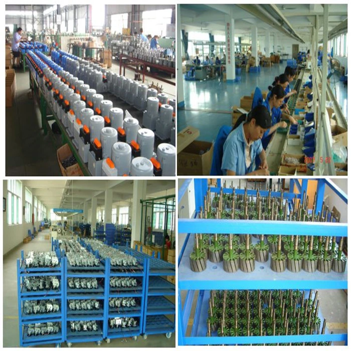 High Quality Anti-Mosquito/Hurricance Roller Shutter