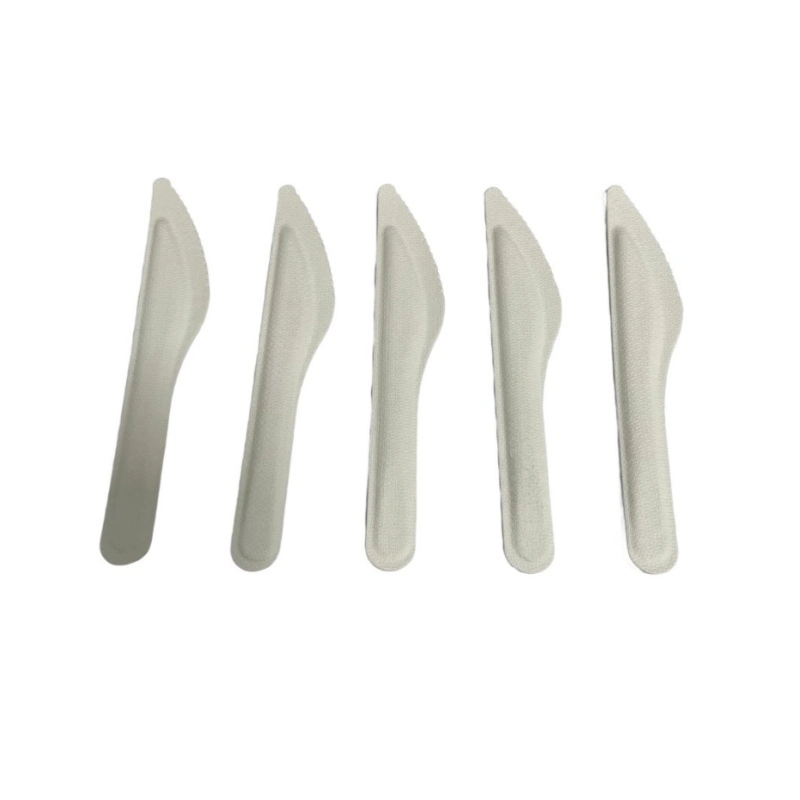 China Factory Wholesale Disposable Biodegradable Spoon Fork Knife