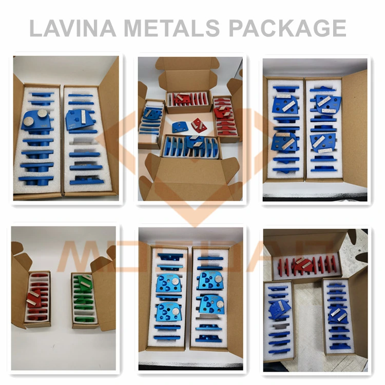 Lavina Double Zigzags Diamond Grinding Head Blades for Concrete Polishing