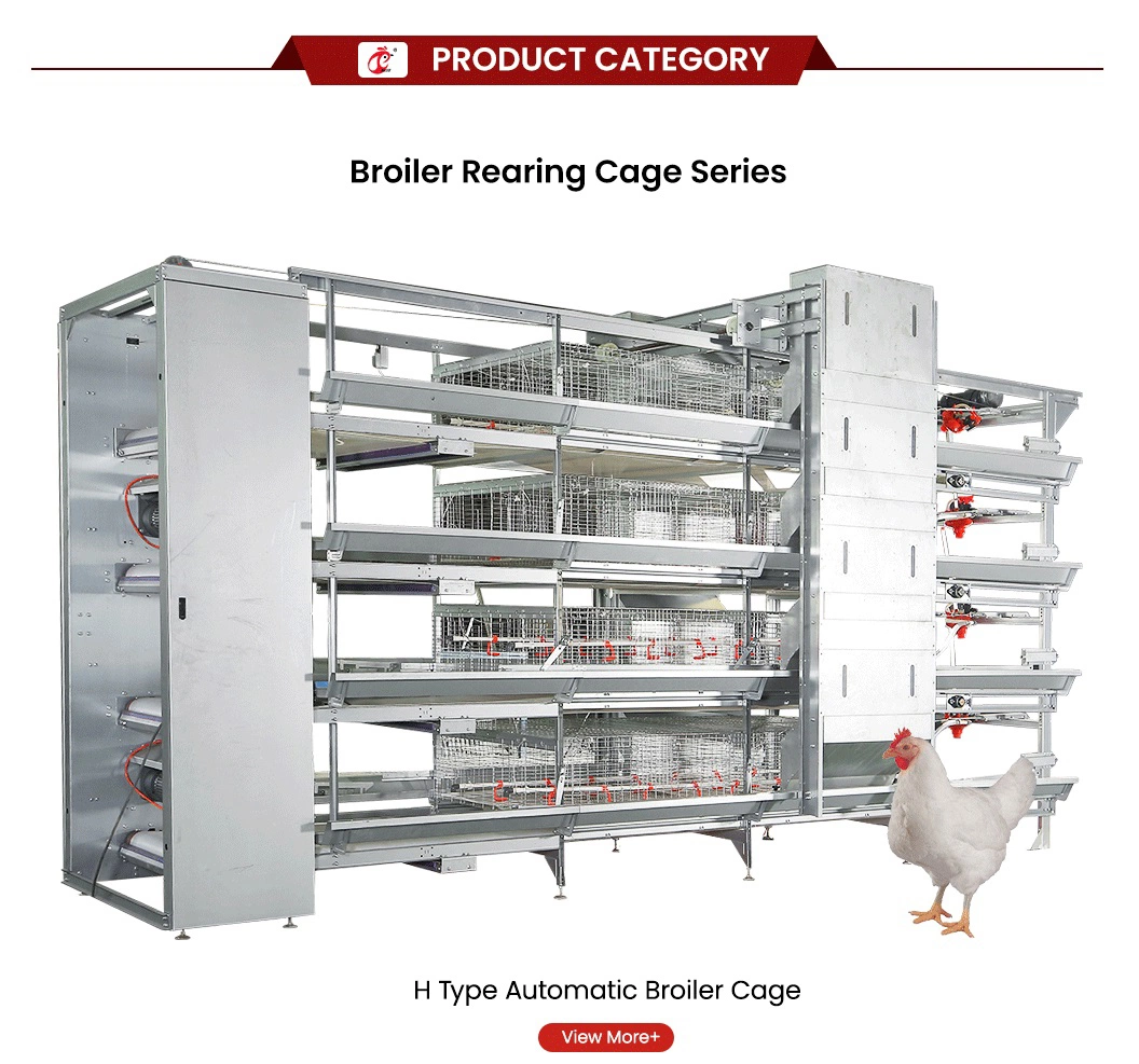 Bestchickencage China DIY Portable Chicken Coop Suppliers a Frame Automatic Broiler Cages High-Quality Excellent Column Performance Chicken Grower Cage