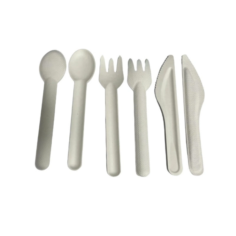 China Factory Wholesale Disposable Biodegradable Spoon Fork Knife