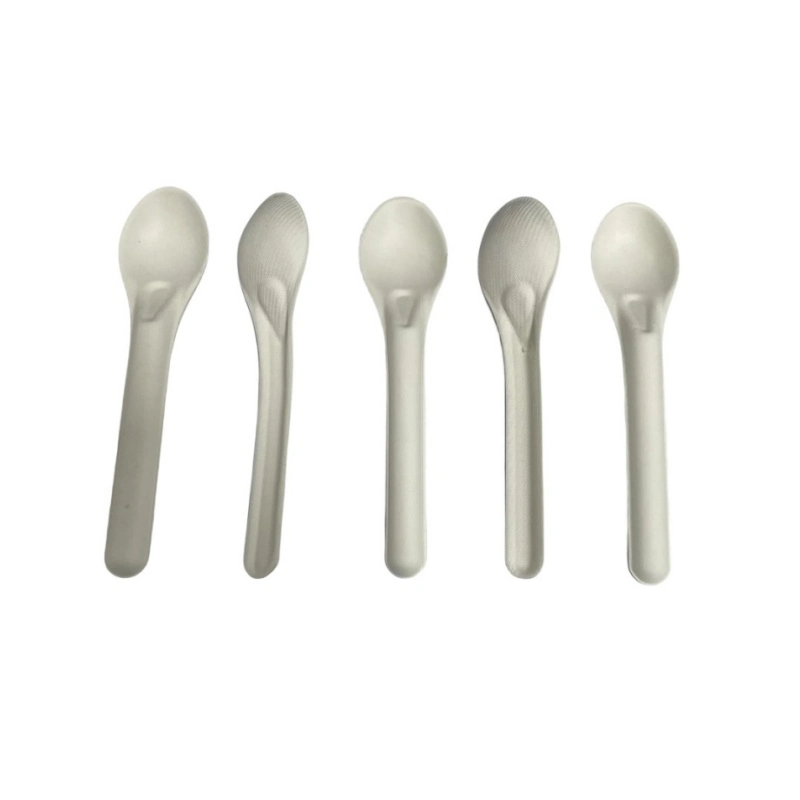 China Factory Wholesale Disposable Biodegradable Spoon Fork Knife