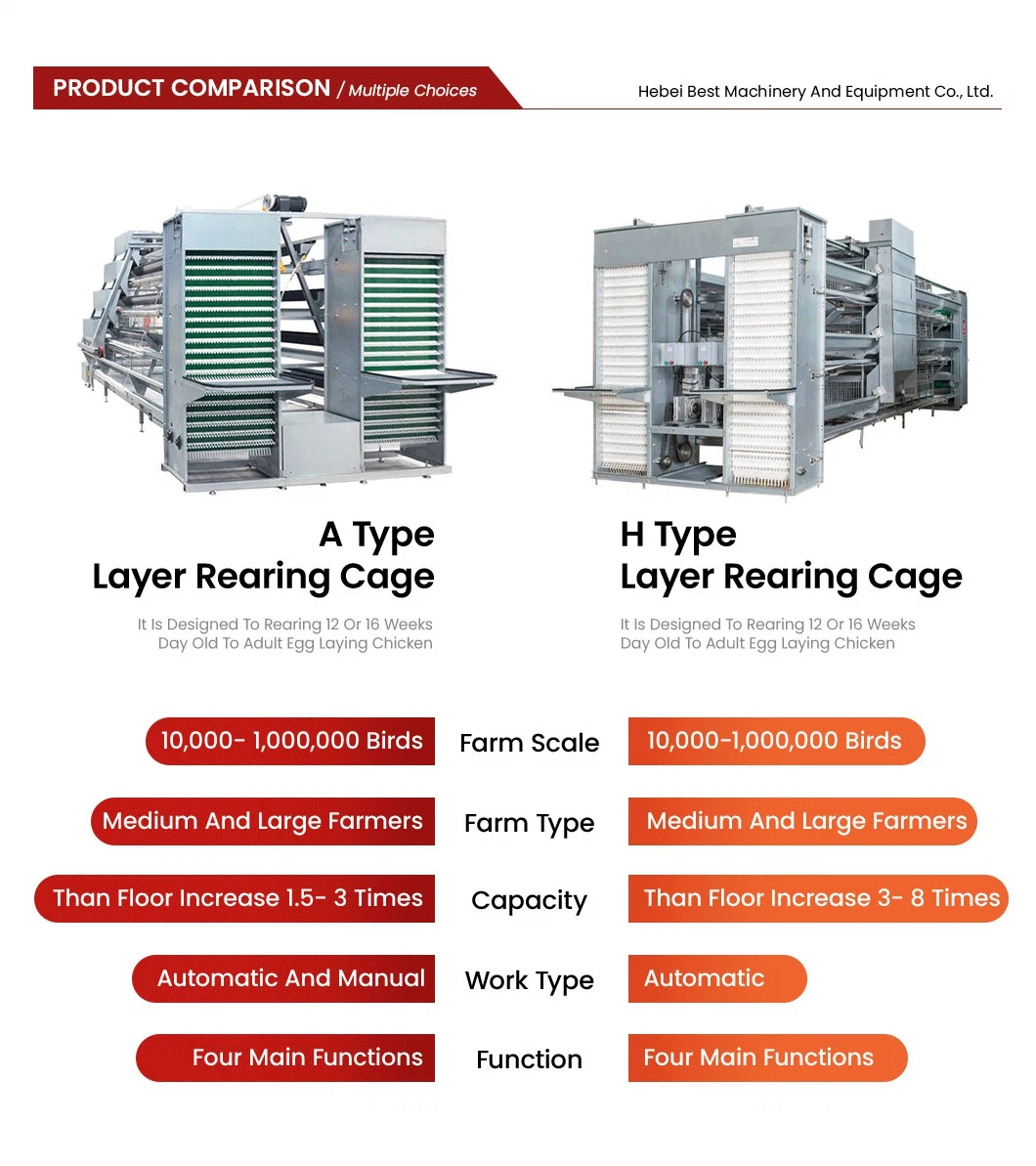 Bestchickencage a Type Layer Cage China Chicken Grower Layer Cage Factory OEM Custom Easily Clean Wooden Poultry Layer Cage Configuration Chicken Coop Wire