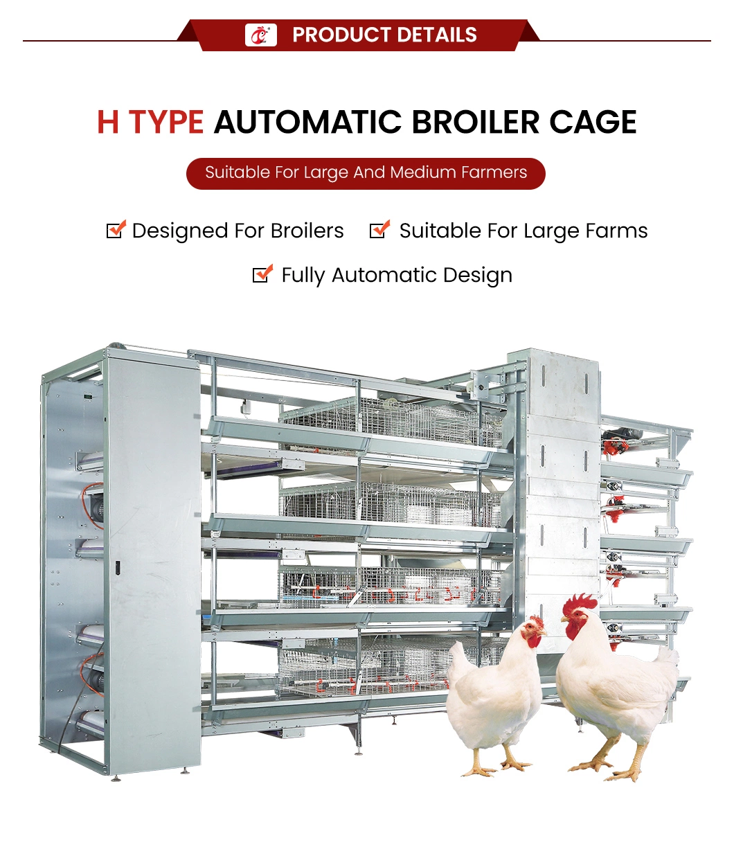 Bestchickencage China Chicken Coop Cage Manufacturer H Frame Automatic Boriler Cages High-Quality Reliable Technical Design Chicken Grower Cage