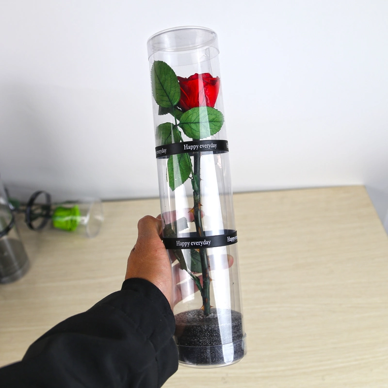 Christmas New Year Gifts Single Rose Preserved Rose Flower Stem Box in PVC Cylinder