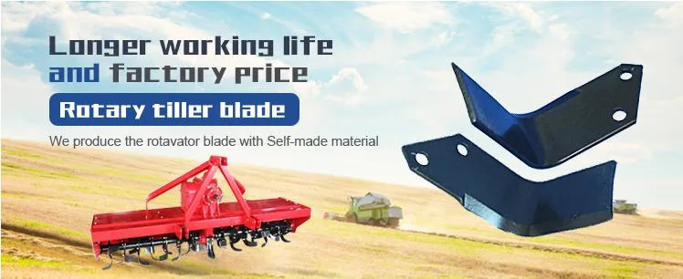 Agricultural Farm Machines Parts Kubota Harvester Rotary Rotavator Spare Cultivator Tiller Blades for Kubota Tractor Parts