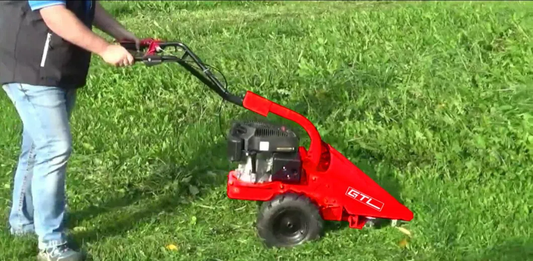 High-Performance Gasoline Lawn Mower with Remote Control and 159cc Ohv Engine (SM01)