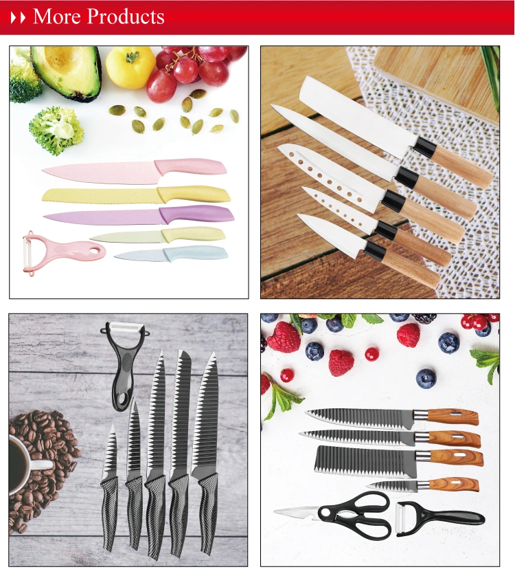 420ss Customized Logo Kitchen Knife Set