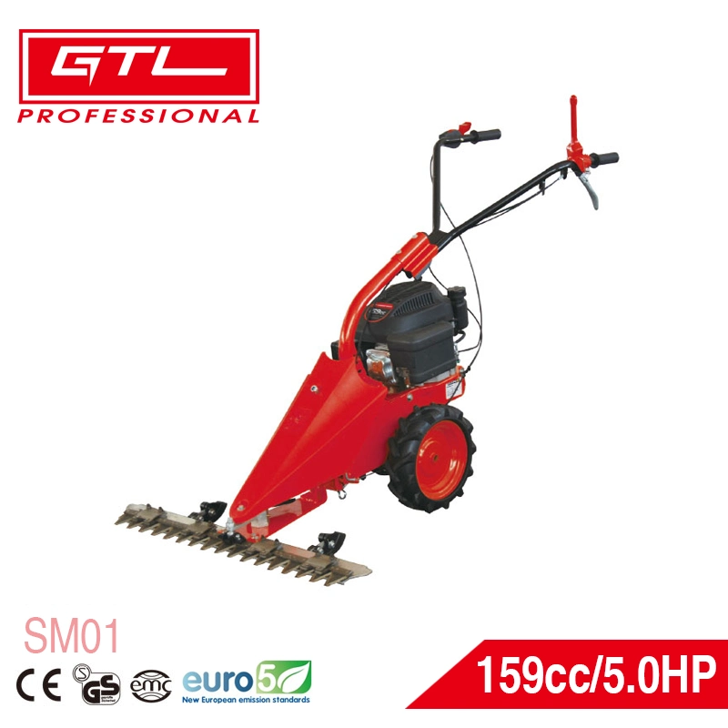 High-Performance Gasoline Lawn Mower with Remote Control and 159cc Ohv Engine (SM01)