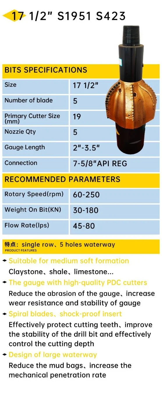 Ruishi Bits API PDC Reamer of Drilling Bit for Oil Petroleum Water Mining Rock Well Drilling Tools Diamond Drilling Bits