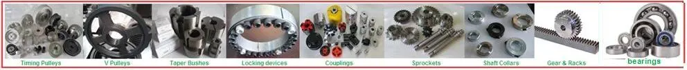 High Quality Flexible Coupling -Parallel Setscrew Type (FC-P1 Seires)