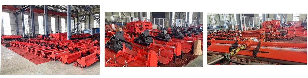 High Quanlity Maschio Italy Brand Rotary Tiller