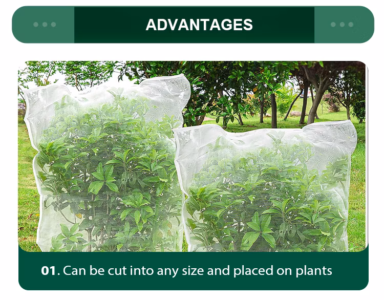Red Agriculture 50 Mesh UV Treated Heavy-Duty Anti Insect Net HDPE 40*25 for Agricultural Greenhouse