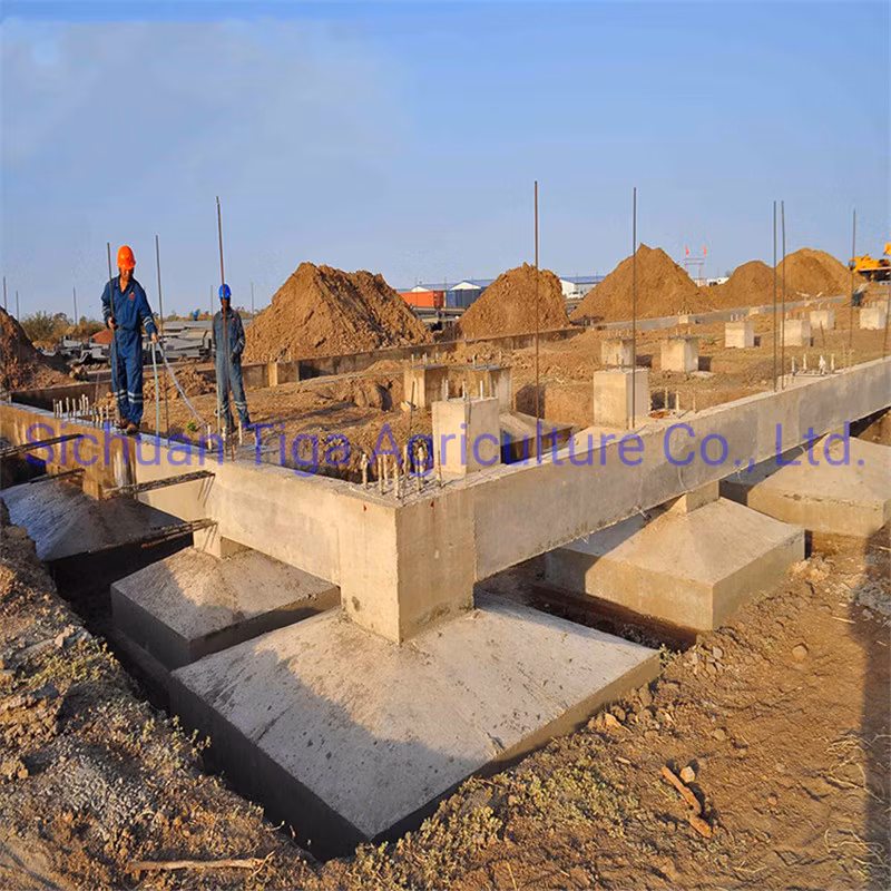 Henan Storage Polycarbonate Greenhouse Prefabricated Steel Structure Farm Plant for Chicken