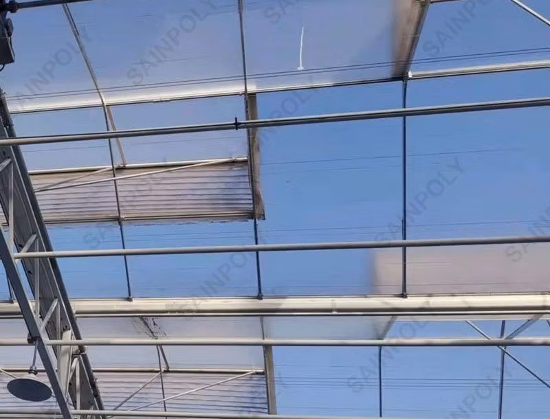Polycarbonate and Vertical Greenhouse Complete Hydroponic System