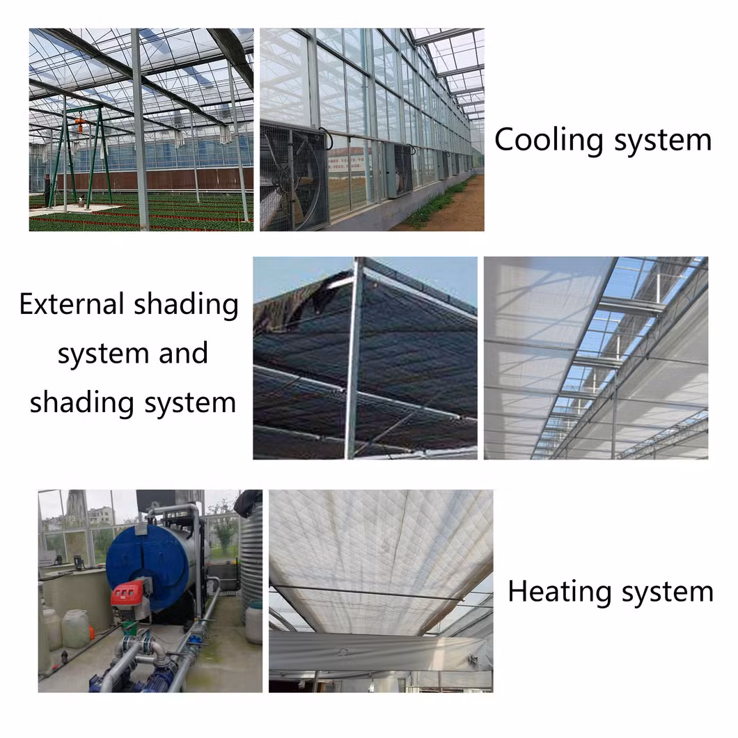 Multi/Single Span Arch Venlo Type Polycarbonate Board PC Greenhouse for Russia Market The Belt and Road Initiative/Cucumber/Lettuce/Pepper/Planting