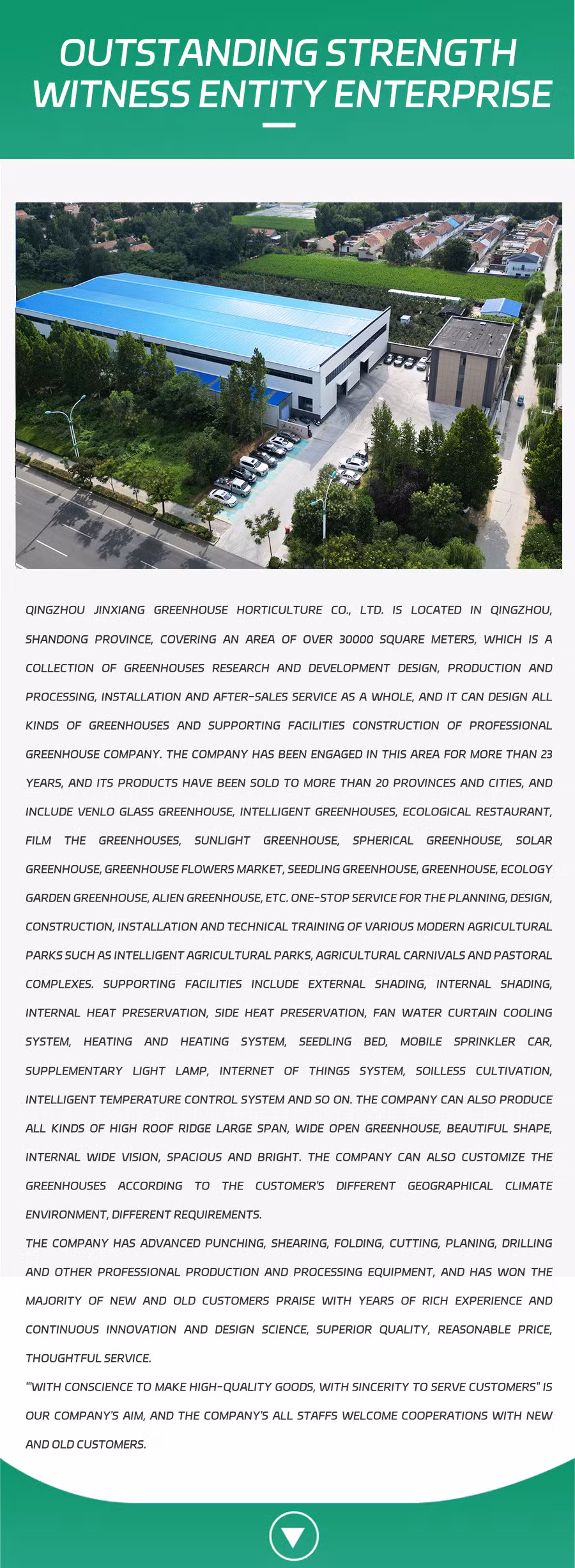 Plastic Film Tunnel Greenhouse/Hoop Greenhouse/Garden Greenhouse for Seedlings Vegetables Flowers