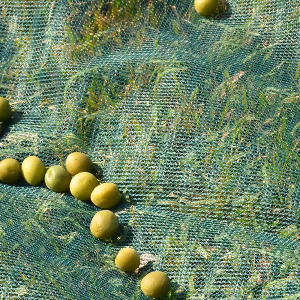 100% New Virgin HDPE Plastic Olive Net Olive Harvest Net
