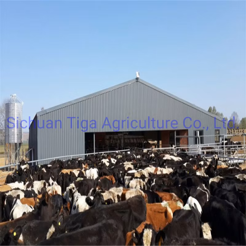 Henan Storage Polycarbonate Greenhouse Prefabricated Steel Structure Farm Plant for Chicken