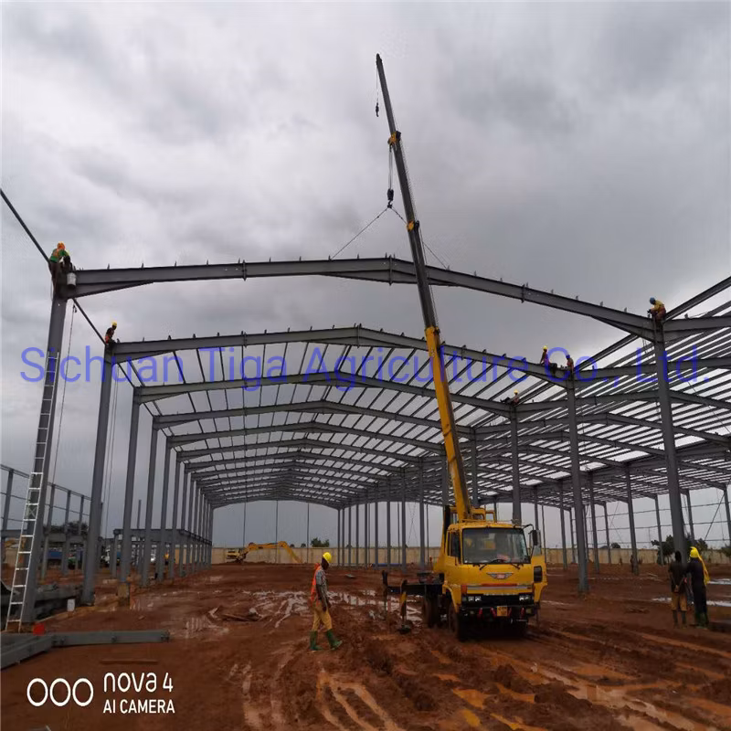Henan Storage Polycarbonate Greenhouse Prefabricated Steel Structure Farm Plant for Chicken