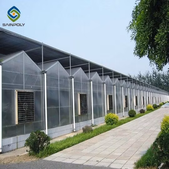 Polycarbonate and Vertical Greenhouse Complete Hydroponic System