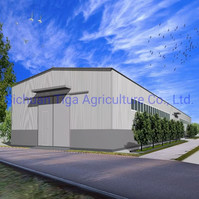 Henan Storage Polycarbonate Greenhouse Prefabricated Steel Structure Farm Plant for Chicken