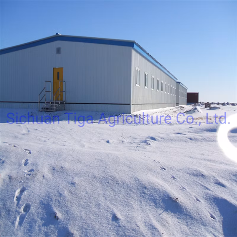 Henan Storage Polycarbonate Greenhouse Prefabricated Steel Structure Farm Plant for Chicken