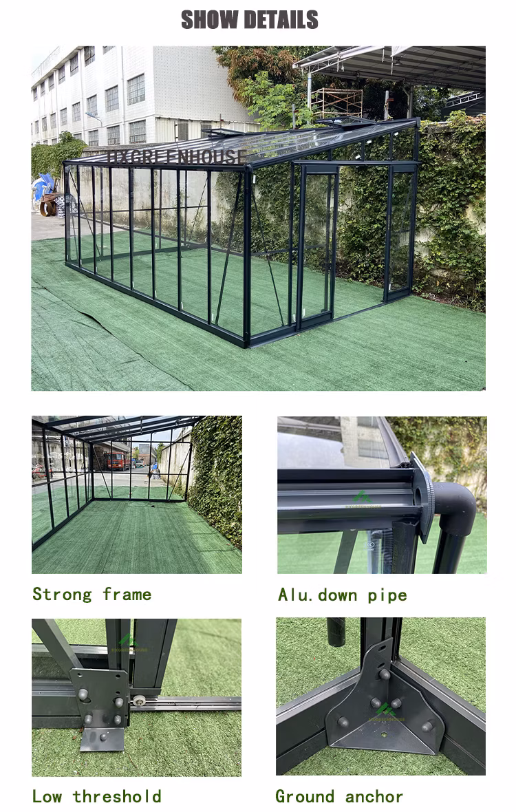 Extra Heavy Duty Durable Super Strong Extendable 4mm Safety Glasshouse Lean to Glass House/Sun Room Greenhouse