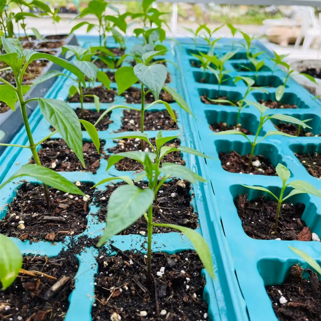 Efficient Compact Pneumatic Vegetable Seeder with Sensor Technology
