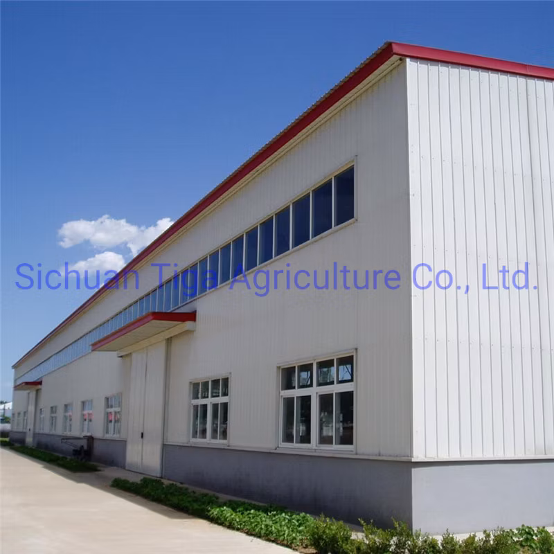 Henan Storage Polycarbonate Greenhouse Prefabricated Steel Structure Farm Plant for Chicken