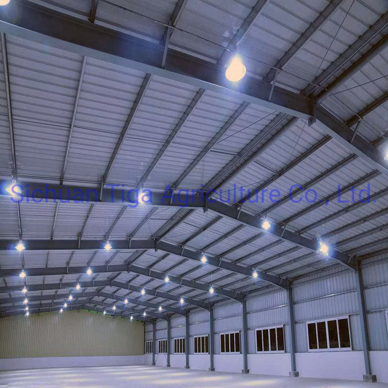 Henan Storage Polycarbonate Greenhouse Prefabricated Steel Structure Farm Plant for Chicken