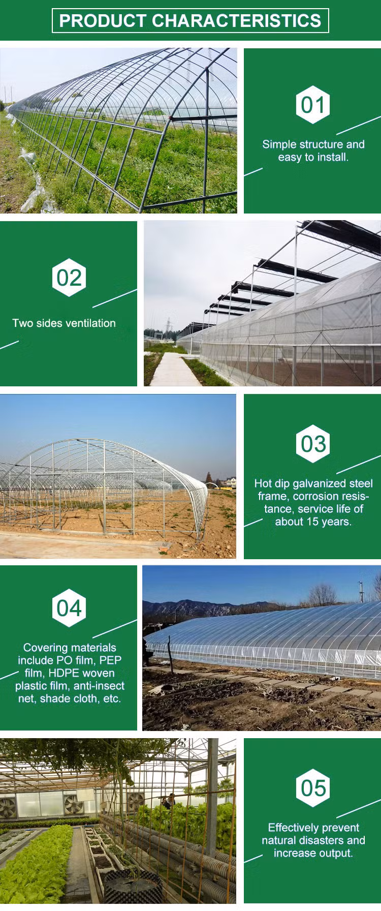 Chinese Style Vertical Mushroom Growing Industrial Home Orangery Galvanized Steel Pipe Wrought Iron Victorian Garden Greenhouse