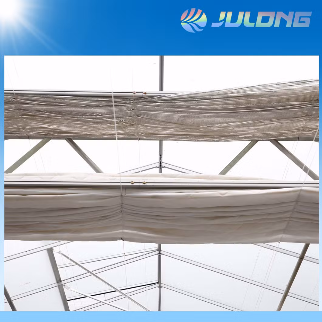 Industrial Steel Structure Warehouse Greenhouse Workshop Factory