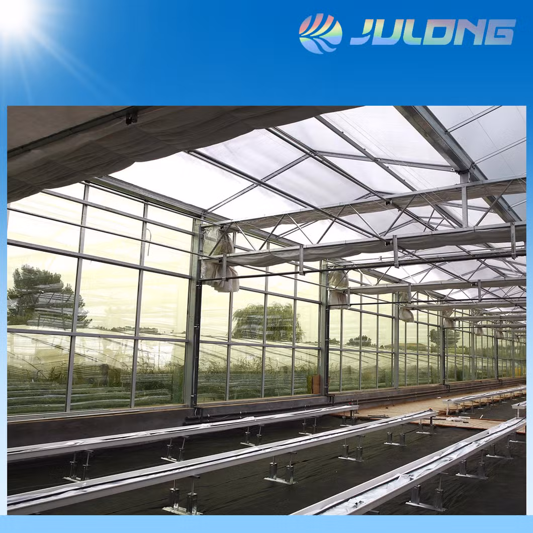 Industrial Steel Structure Warehouse Greenhouse Workshop Factory