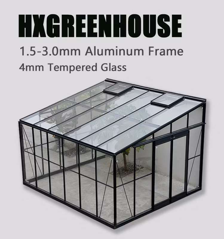 Extra Heavy Duty Durable Super Strong Extendable 4mm Safety Glasshouse Lean to Glass House/Sun Room Greenhouse
