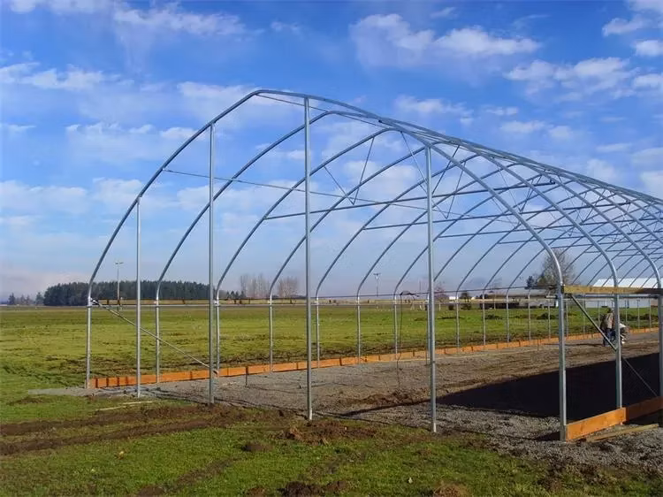 Po Warm House Tunnel Fruits Forcing Heated Housing Greenhouse with Growing System