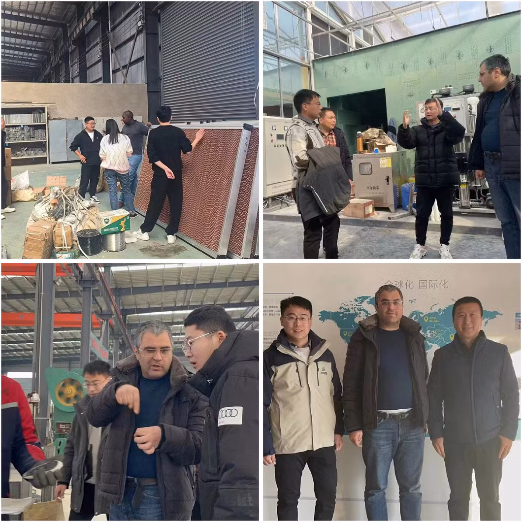 China Low Price Easy to Install Tunnel Metal Structure Plastic Film Hot DIP Galvanized Frame Structure Greenhouse