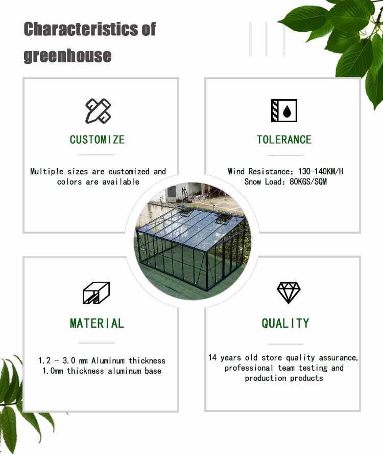 Extra Heavy Duty Durable Super Strong Extendable 4mm Safety Glasshouse Lean to Glass House/Sun Room Greenhouse