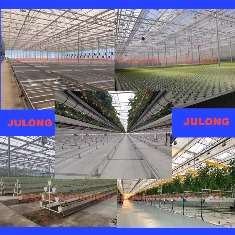 Industrial Steel Structure Warehouse Greenhouse Workshop Factory