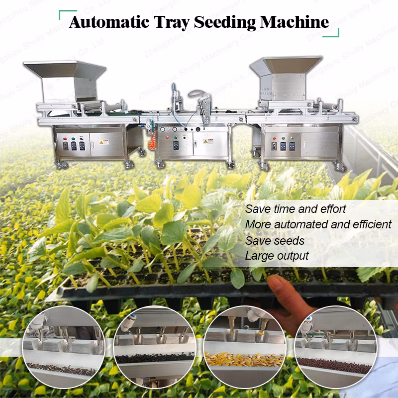 Greenhouse Vegetable Onion Tomato Seed Tray Seeder Nursery Planting Machine